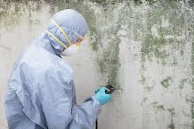 Best HVAC Mold Inspection and Cleaning  in Laguna Heights, TX